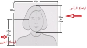 فحص الصورة للوتري